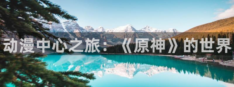 动漫之家下载版