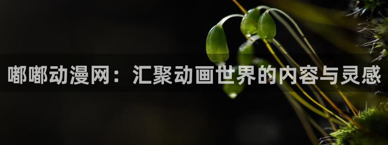 动漫之家官方正版入口下载