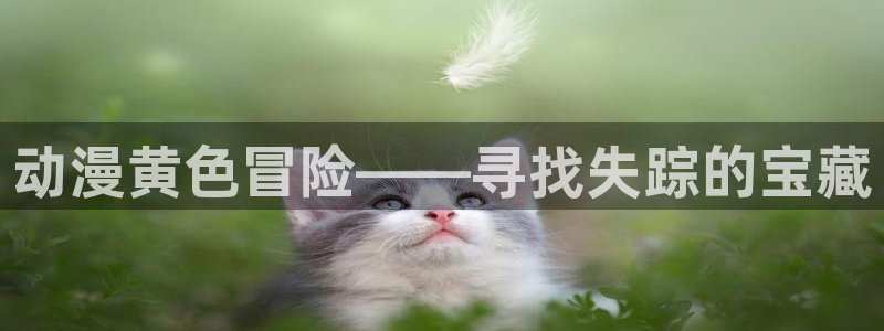 动漫之家3.0版本